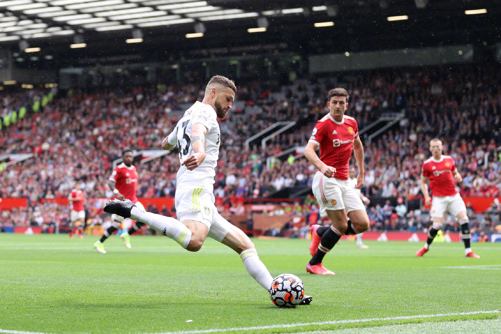 全能表现完 全能表现完